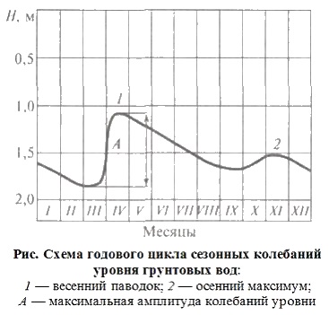 Важность определения уровня грунтовых вод при установке септика