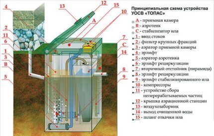 Септик топас