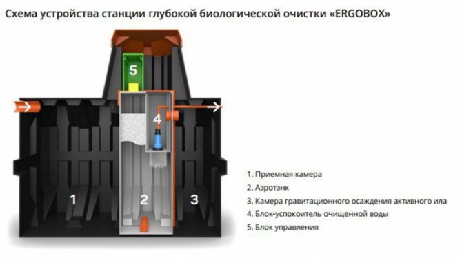 Схема устройства Ergobox